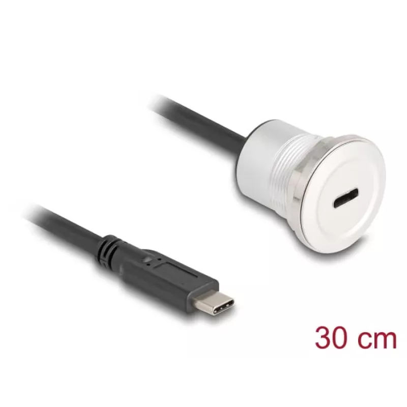 Cavo USB DeLOCK 88183 0,3 m USB-C nero argento