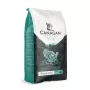 Canagan cibo secco per gatti Dental 1,5 kg