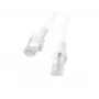 PATCHCORD Cat.6 UTP 1,5M bianco FLUKE GETESTET LANBERG 10ER-PACK