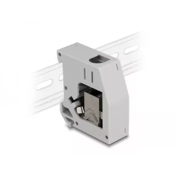 DeLOCK adattatore per guida DIN connettore femmina RJ45 a connettore femmina RJ45 Cat.6A grigio