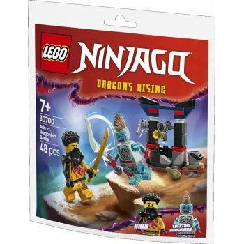 Giocattolo da costruzione set LEGO 30700 La battaglia di Arin con l'Uomo Drago Polybag (mini set)