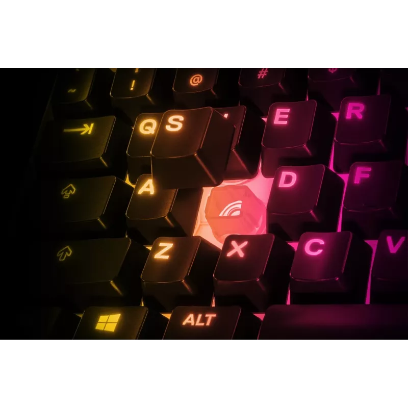 Steelseries APEX 3 TKL tastiera USB QWERTY US English nero