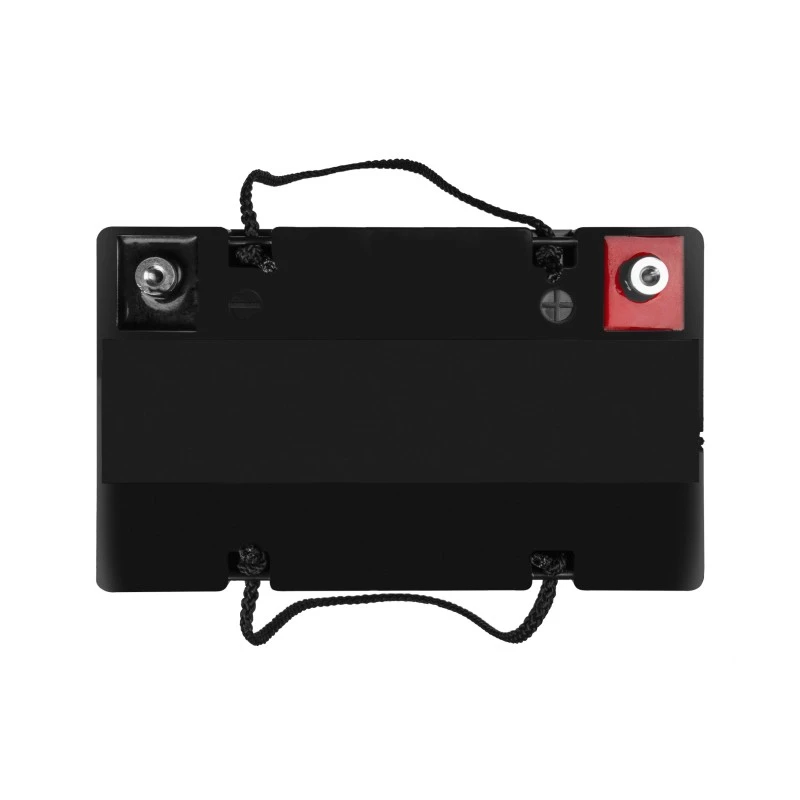 Batteria AGM VRLA 12V 55Ah IP54