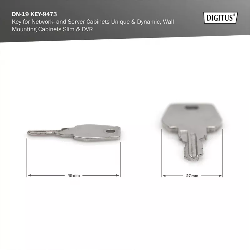 Chiave per armadi di rete e server Digitus DN-19 KEY-9473