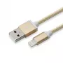 Sbox USB 2.0 8 Pin IPH7-G oro