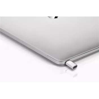 Wentronic Goobay Adattatore USB-C™ - Connettore femmina USB 2.0 Micro-B, Argento - per collegare un dispositivo USB-C™ a un cavo USB 2.0 Micro-B (56636)
