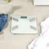 Bilancia da cucina in vetro Salter SA00601WCFEU12