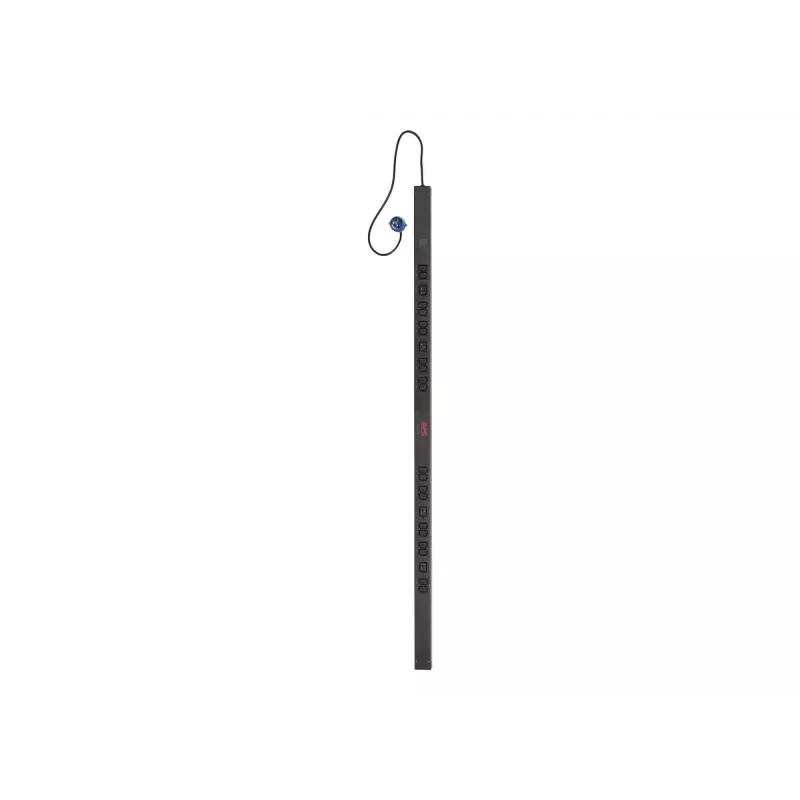APC Basic Rack PDU unità di distribuzione dell'alimentazione (PDU) 24 prese AC 0U nero