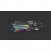 Logickeyboard ASTRA 2 tastiera USB AZERTY English nero (LKB-RESB-A2M-FR)