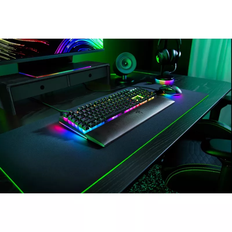 Razer BlackWidow V4 tastiera – USB-C, QWERTZ
