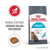 Royal Canin Urinary Care crocchette per gatti 4 kg