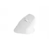 NATEC Crake 2 mouse, universale, per destrimani, RF Wireless + Bluetooth, ottico, 2400 DPI