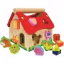 Casa da incastro, gioco di abilità 15 pezzi