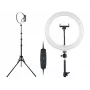 TRACER RING 30cm ring light con treppiede 210cm