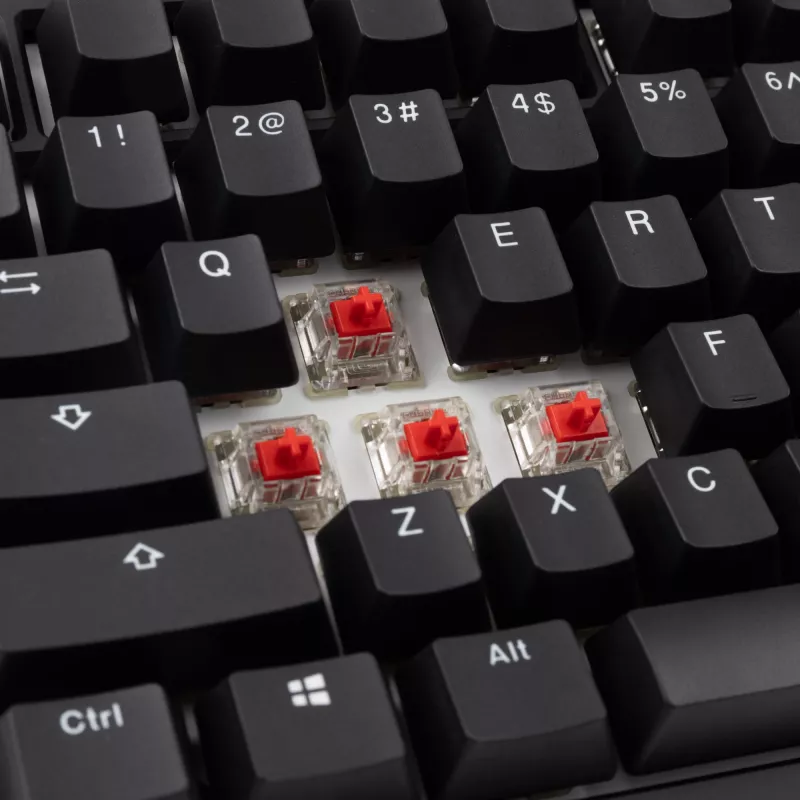 Ducky Tinker 75 Tastiera Gaming USB Inglese US Nero