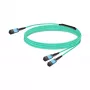 Cavo di rete Nvidia MFP7E20-N010 InfiniBand 10 m MPO 2x MPO blu