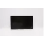 Lenovo DISPLAY INX 39,6 cm (15,6