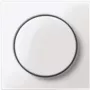 Merten MEG5250-0325. Colore del prodotto: bianco (MEG5250-0325)