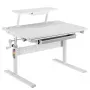 Scrivania per bambini Ergo Office ER-483 — regolabile in altezza compatta