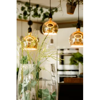 Lampadina LED Segula 55058 bianco caldo 1900 K 6 W E27