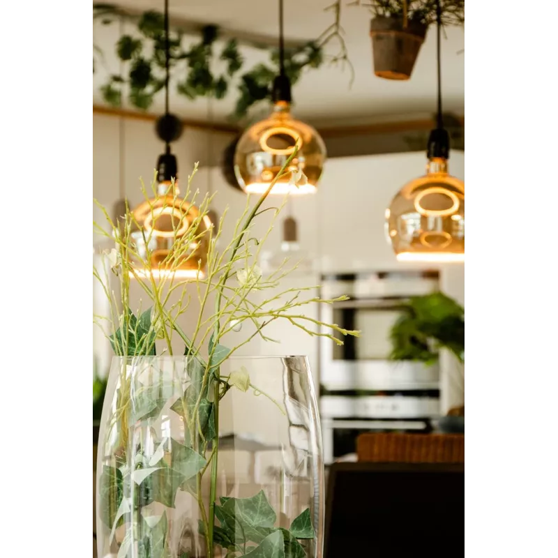 Lampadina LED Segula 55058 bianco caldo 1900 K 6 W E27