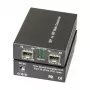 EFB Elektronik EFB-Elektronik EL031 - Convertitore multimediale - GigE - 1000Base-X - SFP (mini-GBIC)