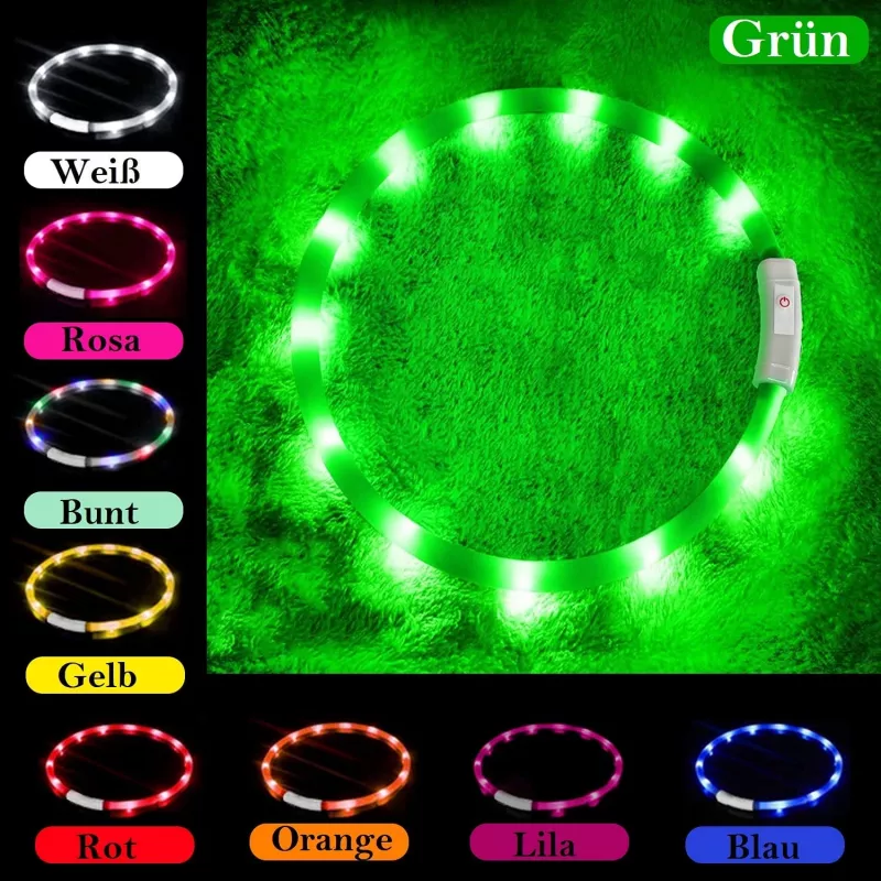Collare LED Anicoll verde per cani e gatti modello illuminazione ricaricabile