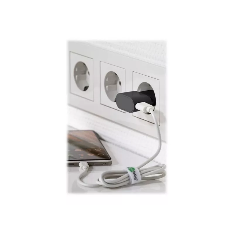 Goobay 44947 Caricabatterie per dispositivi mobili da interno nero (44947)