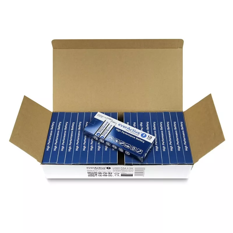 Batteria alcalina monouso everActive LR0310PAK AAA 1,5 V 1250 mAh confezione da 10