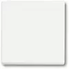 Interruttore della luce Busch-Jaeger 1751-0-3027 — custodia in plastica, bianco, controllo a pulsante, 63×63 mm