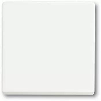 Interruttore della luce Busch-Jaeger 1751-0-3027 — custodia in plastica, bianco, controllo a pulsante, 63×63 mm