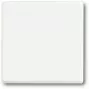 Interruttore della luce Busch-Jaeger 1751-0-3027 — custodia in plastica, bianco, controllo a pulsante, 63×63 mm