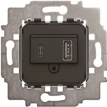 BJ 6475 U alimentatore - inserto USB A+C (2CKA006400A0398)