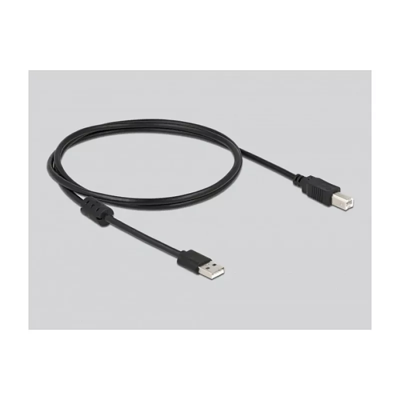 Lettore di codici a barre portatile DeLOCK 90550 1D 2D wireless USB