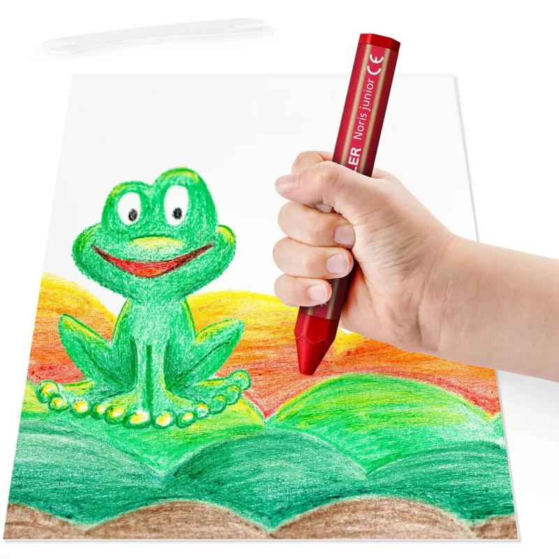 Matita colorata Staedtler 224 C6