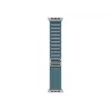 Cinturino Apple MFTH4ZM/A accessorio per smartwatch blu titanio