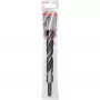 Punta Bosch 2 608 597 202 lunghezza 180 mm