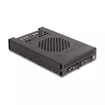 Case per SSD DeLOCK 47117 telaio estraibile 3,5 pollici per 2 x SSD M.2 NVMe