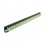 DeLOCK 19 pollici pannello frontale per scatola di giunzione 43362 24 porte LC duplex limegreen