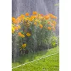 Tubo nebulizzatore GARDENA 7,5 m (1995-20)