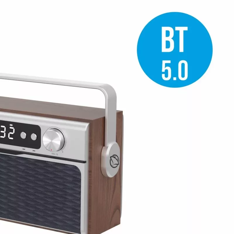 Radio portatile MANTA RDI917PRO con Bluetooth e riproduzione USB