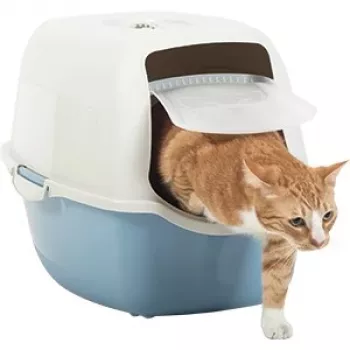 Lettiera per gatti con cupola Rotho Bailey 560×400×390 mm, blu/bianca, filtro carbone, maniglia, sportello