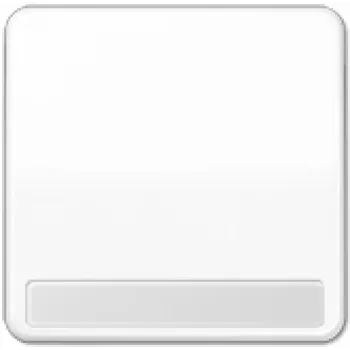 JUNG CD 590 NA WW tasto a bilanciere con campo di etichettatura, bianco
