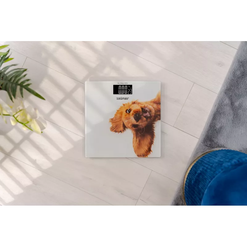 Bilancia Zelmer ZBS1010 bianco ZBS1010 cane ZELMER