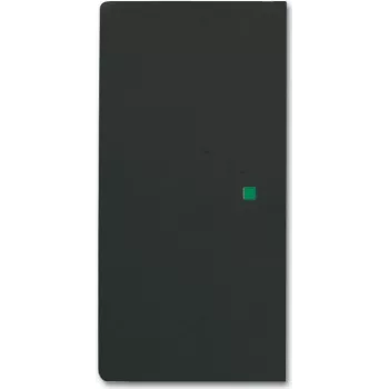 Busch-Jaeger 2CKA006220A0503 Placca di copertura per supporto sensore e presa Nero (2CKA006220A0503)