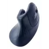 Gembird MUSW-ERGO-03 Mouse per uso domestico per destrorsi RF Wireless Ottico 1600 DPI