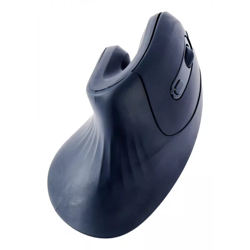 Gembird MUSW-ERGO-03 Mouse per uso domestico per destrorsi RF Wireless Ottico 1600 DPI