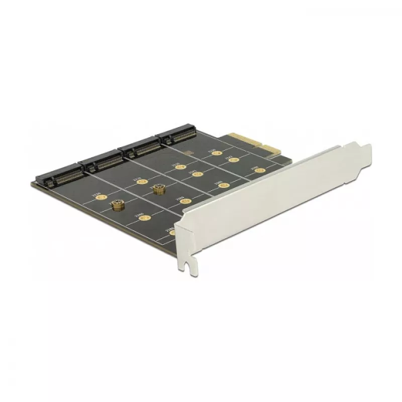 Scheda di interfaccia DeLOCK 89888