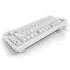 Sharkoon SGK25 75% QWERTZ USB Tastiera cablata RGB LED bianco