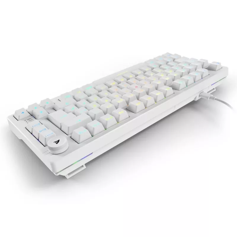Sharkoon SGK25 75% QWERTZ USB Tastiera cablata RGB LED bianco